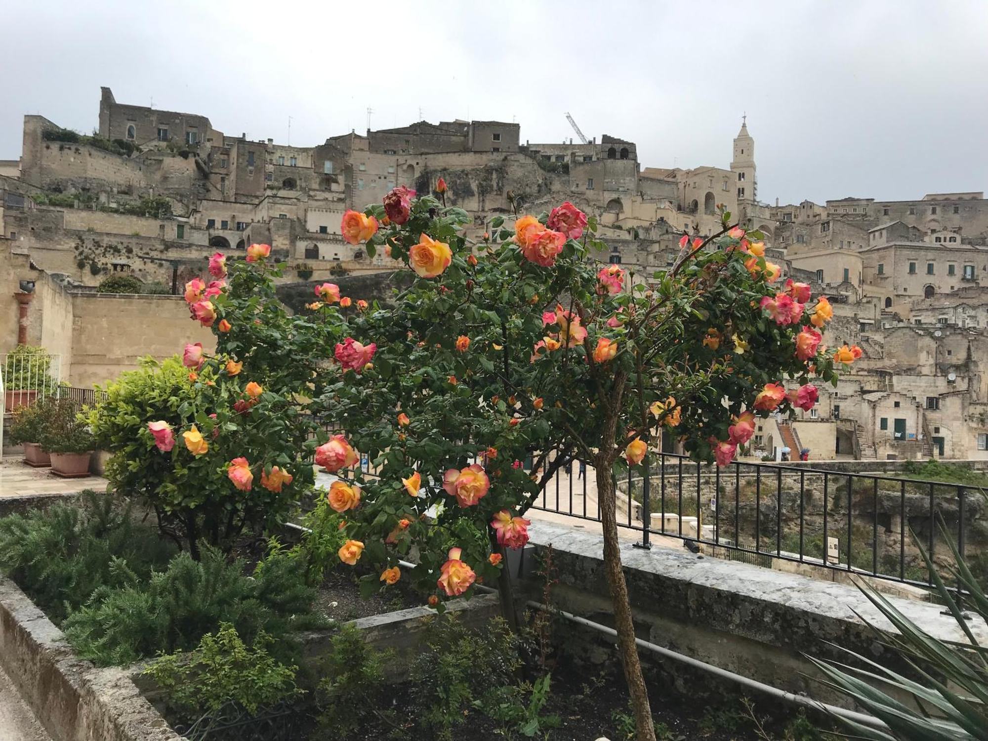 La Corte Dei Pastori Bed & Breakfast Matera Exterior foto